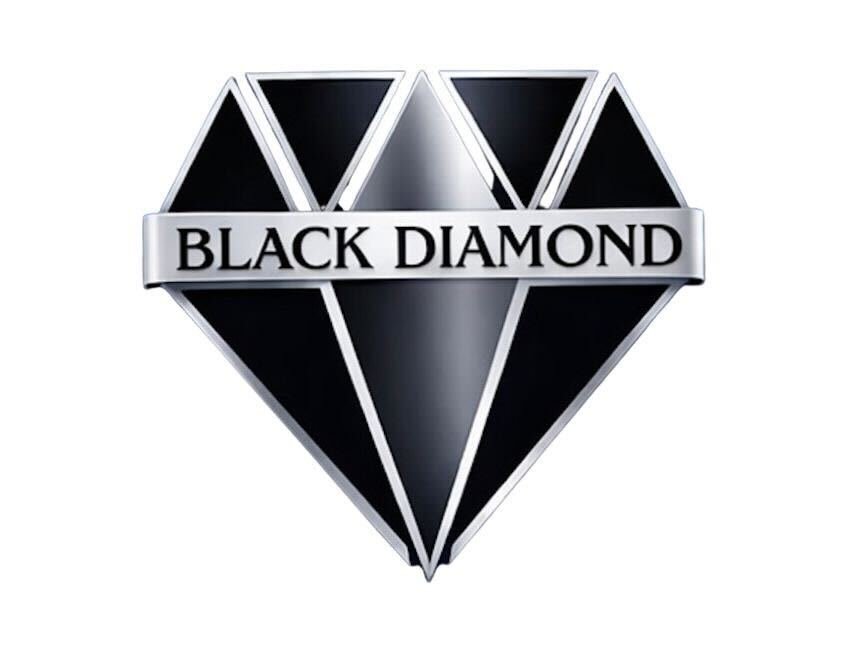 Black Diamond — Building Intelligent Digital Systems logo and brand identity